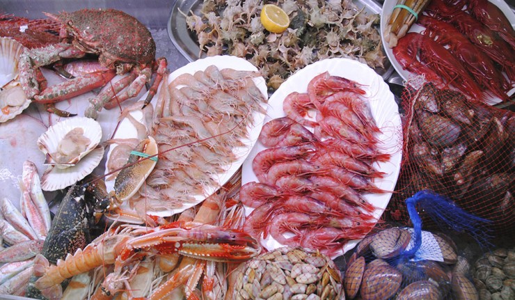 Poissons p&ecirc;ch&eacute;s du jour